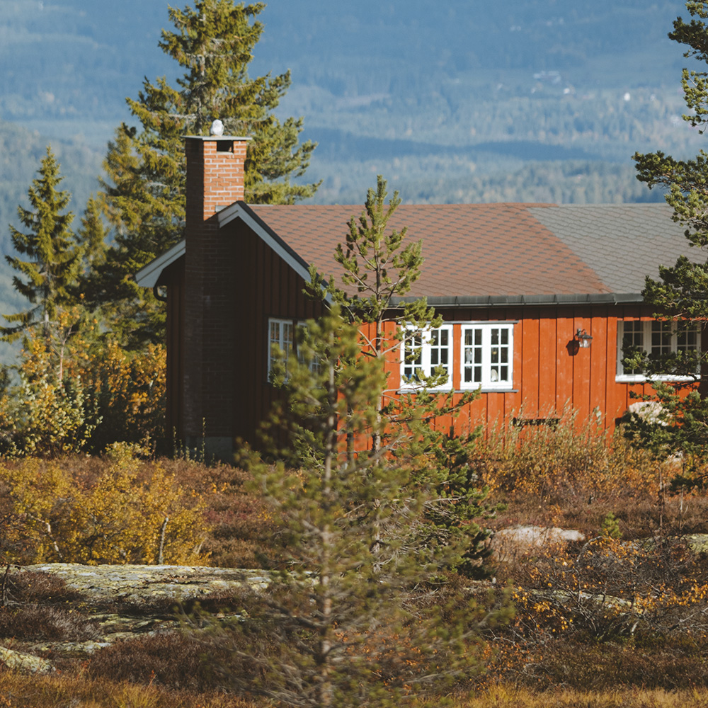 Zonas rurales y escapadas a la naturaleza